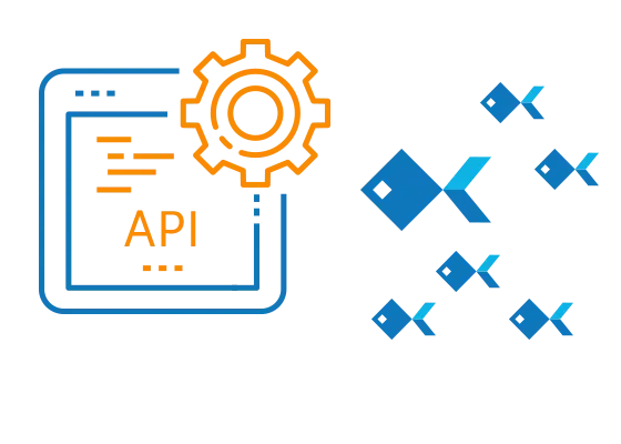API